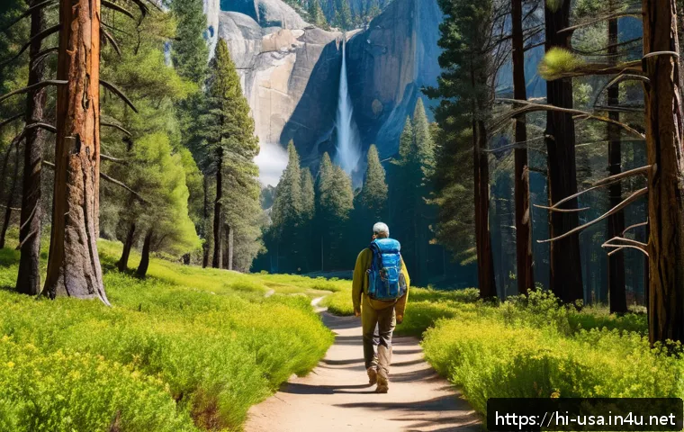 미국 서부여행 추천 루트 - A scenic hiking trail in Yosemite National Park during early morning, bathed in soft golden sunlight...