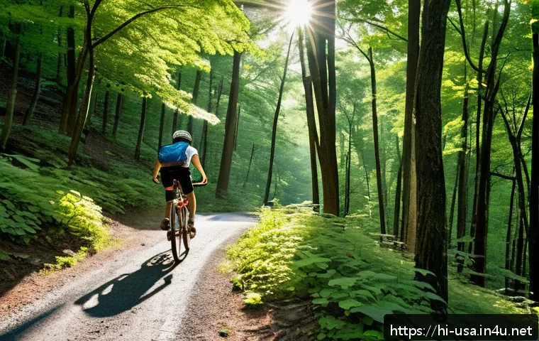 미국 자전거 여행 추천 루트 - A scenic cycling trail in Shenandoah National Park, Virginia, featuring dense green forests with tal...